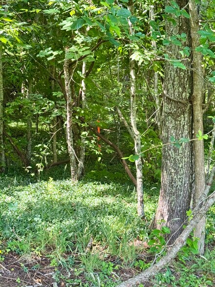 More Photos Of 1388 Ritter Dr, Daniels Freestanding For Sale