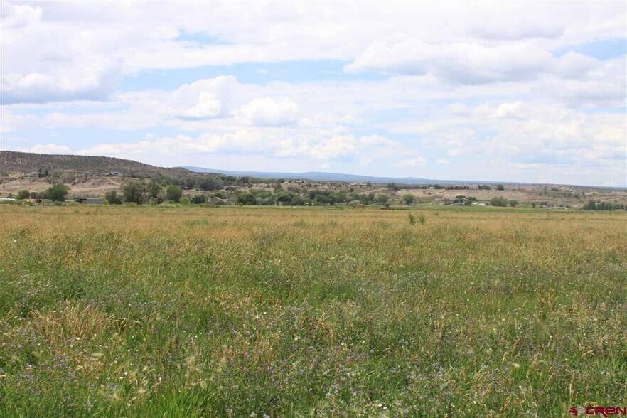 More Photos Of TBD 6600, Montrose Land For Sale