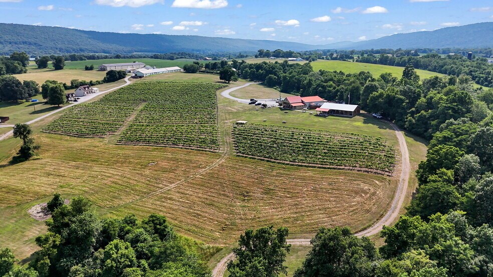 More Photos Of 3 Orchard Rd, Liverpool Winery Vineyard For Sale