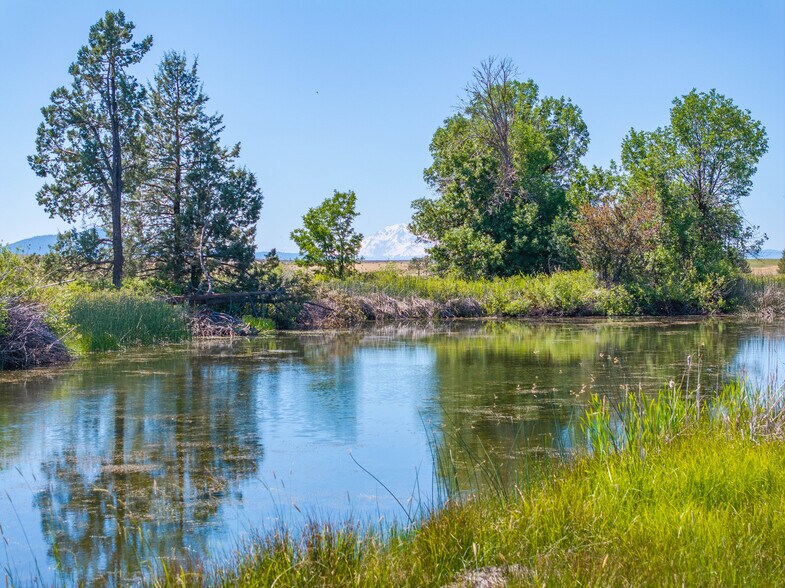 More Photos Of 540-775 Pittville Rd, Mcarthur Land For Sale