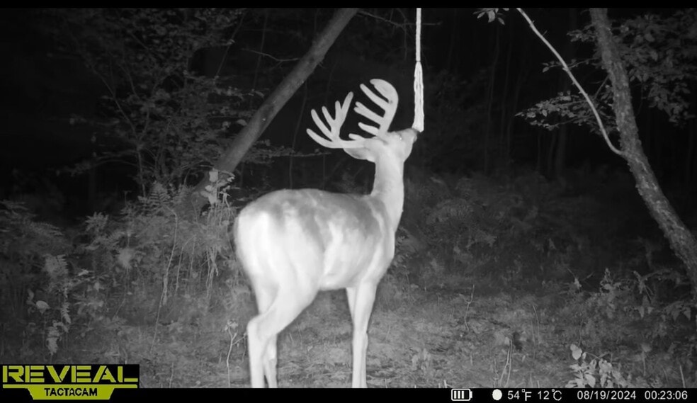 More Photos Of Fisher Road, Iola Land For Sale