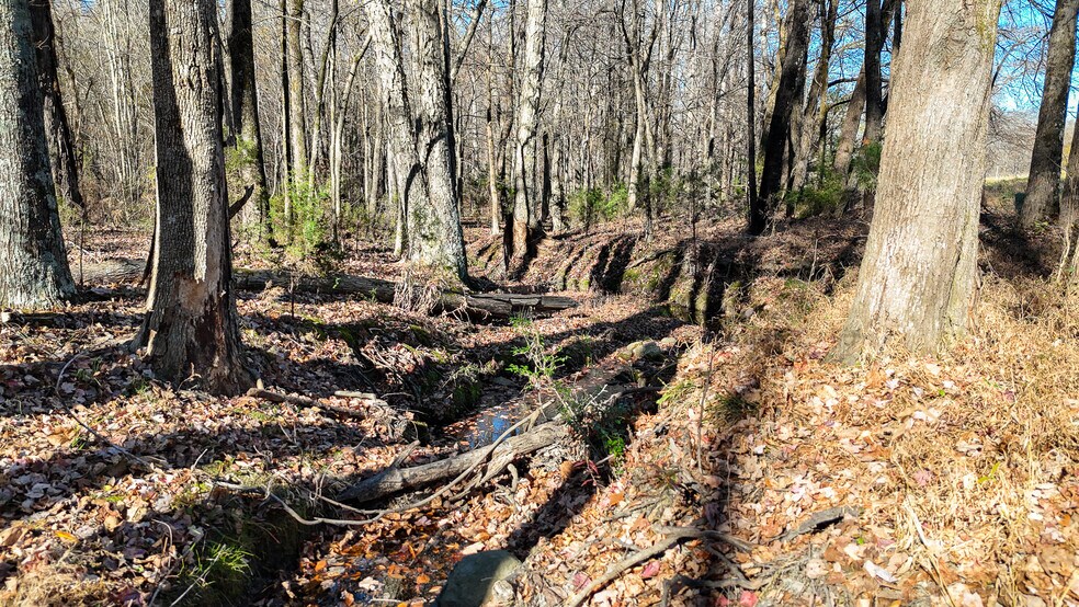 More Photos Of 6436 Beulah Church Rd, Liberty Land For Sale