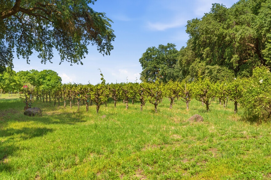 More Photos Of 9345 Stanford Ln, Durham Winery Vineyard For Sale