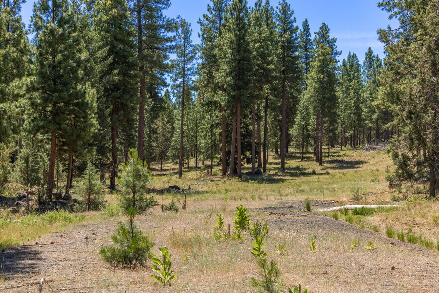 More Photos Of 0 Blue Wing Street, Keno Land For Sale