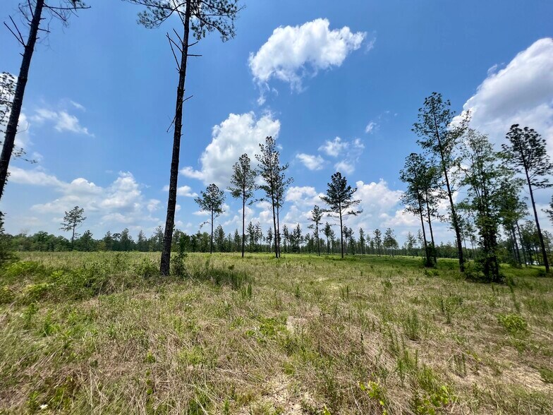 More Photos Of County Road 64, Robertsdale Land For Sale