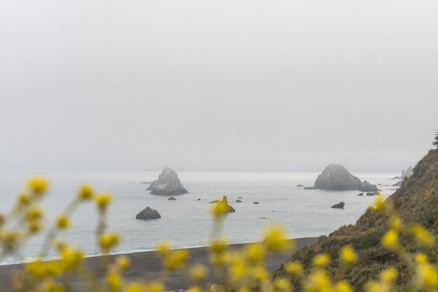 More Photos Of , Jenner Unknown For Sale