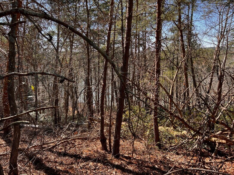 More Photos Of 6390 Lula Road, Lula Land For Sale