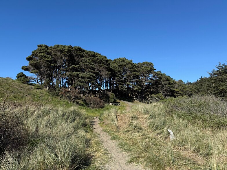 More Photos Of Beach Loop Rd @ Beach Ln, Bandon Land For Sale