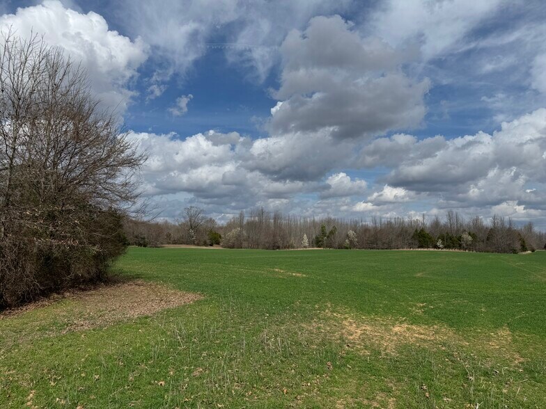 More Photos Of 2174 Frazier Road, Rossville Land For Sale