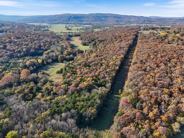 More Photos Of WC 136 Downing Rd rd, Elkins Land For Sale