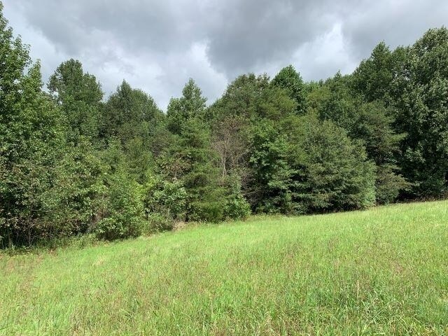 More Photos Of 7322 Tribble Gap Rd, Alto Land For Sale