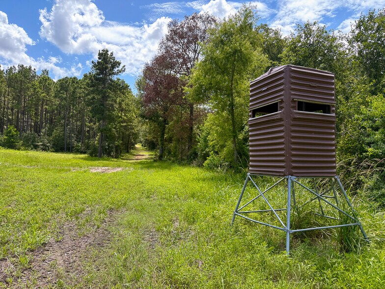 More Photos Of 1682 FM 980 Rd, Huntsville Land For Sale