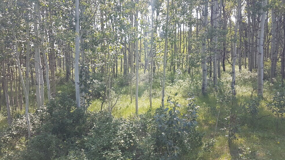 More Photos Of 1 Bow River, Rocky View No 44 Land For Sale