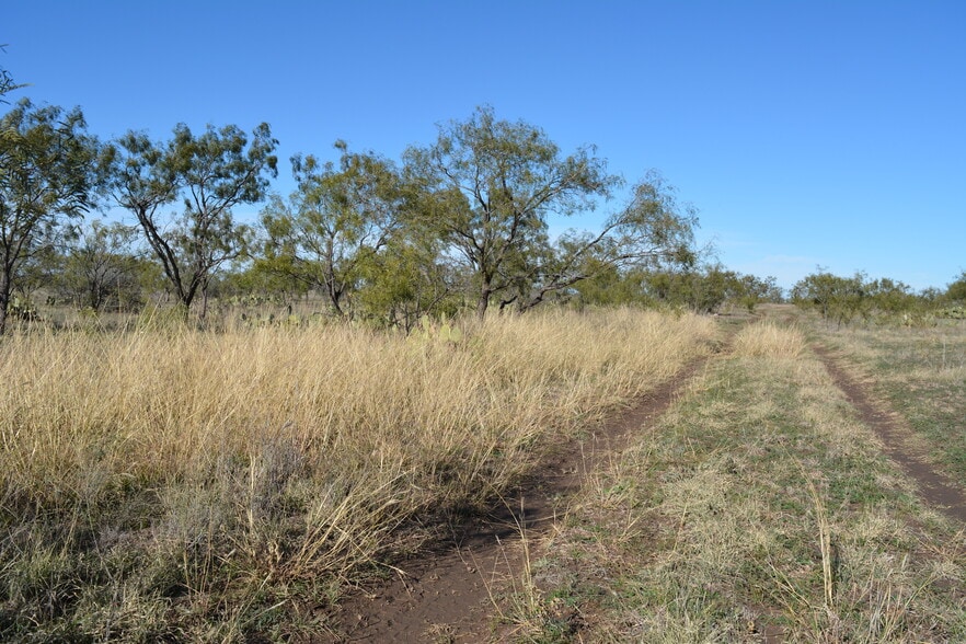 More Photos Of CR 1329, Paint Rock Land For Sale