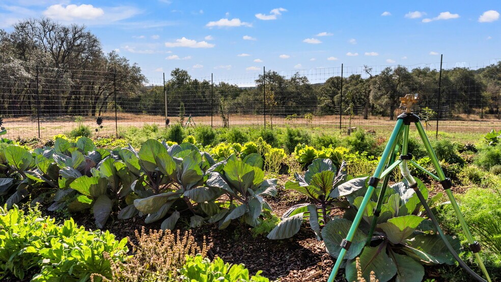 More Photos Of 25711 Hamilton Pool Rd, Round Mountain Specialty For Sale