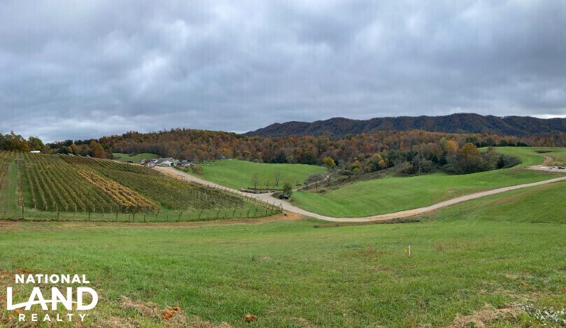 More Photos Of 3899 Eakin Farm Rd, Blacksburg Winery Vineyard For Sale