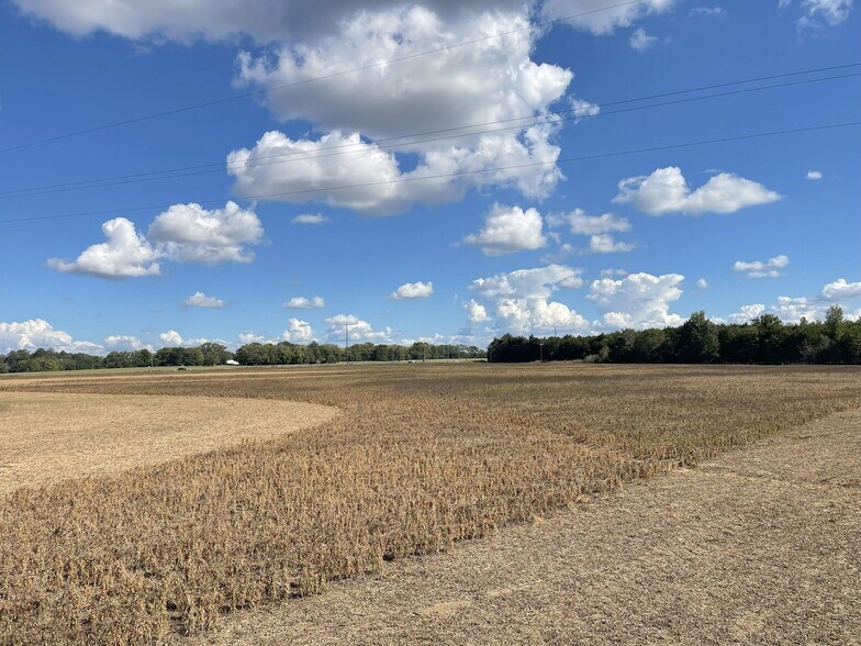 More Photos Of County 21 & Bell Grayson Road hwy, Demopolis Land For Sale