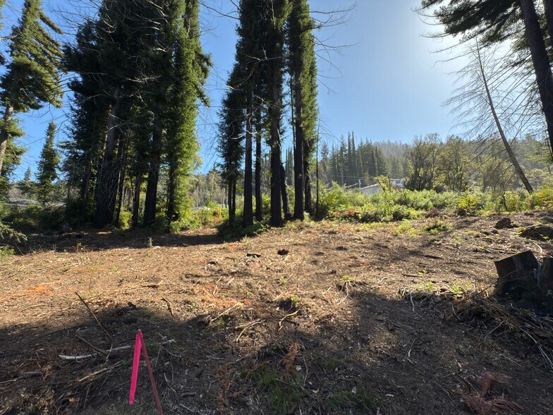 More Photos Of 0 Fallen Leaf Drive, Boulder Creek Land For Sale