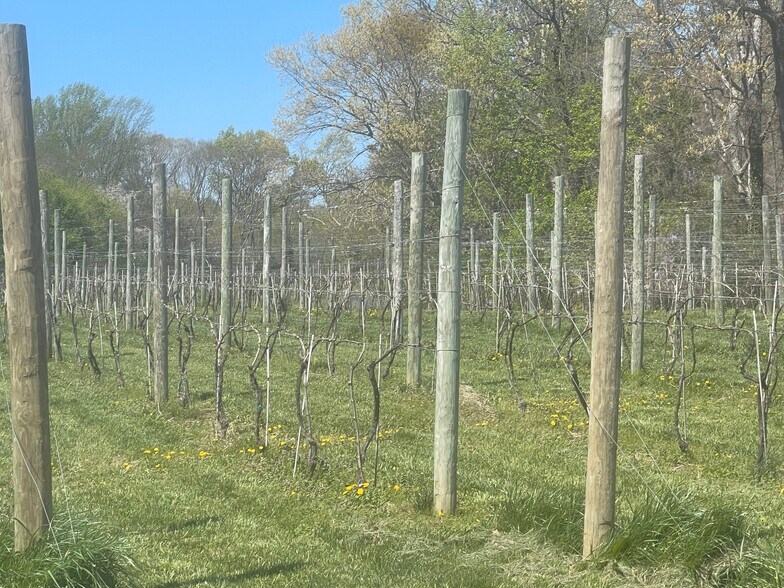 More Photos Of 38.66 Acres - Neck Road, Aquasco Land For Sale