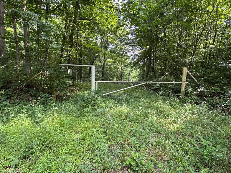More Photos Of 8441 Millertown Rd SE, Corning Land For Sale