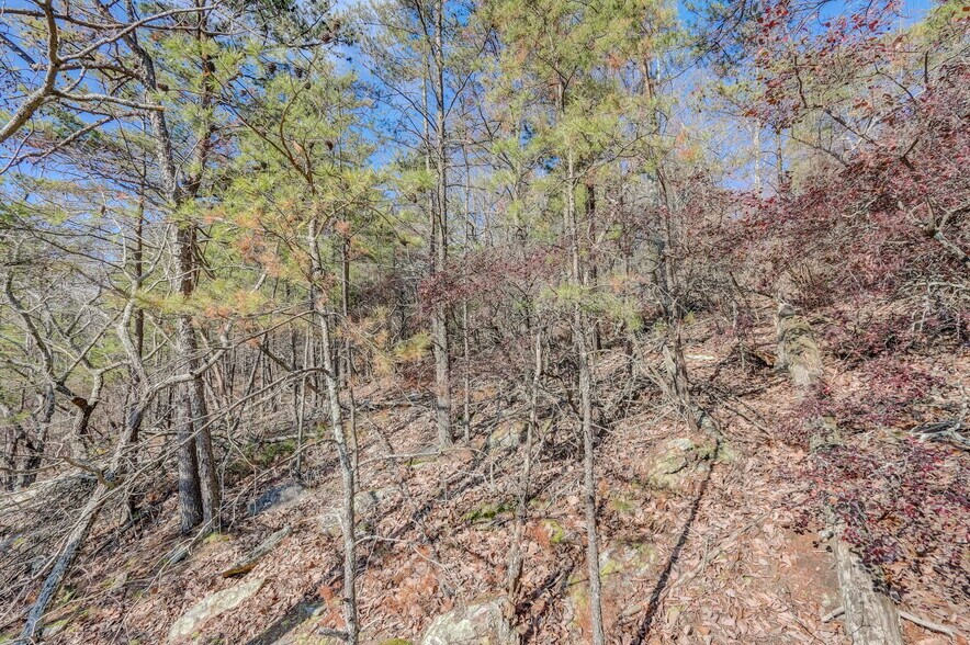 More Photos Of 1915 Tower Trl, Waleska Land For Sale