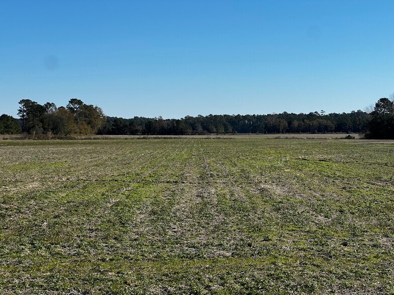 More Photos Of 2292 Nichols hwy, Aynor Land For Sale