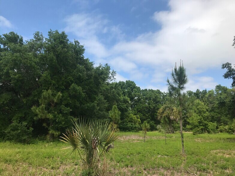 Primary Photo Of 5407 W Irlo Bronson Memorial Hwy, Kissimmee Land For Sale