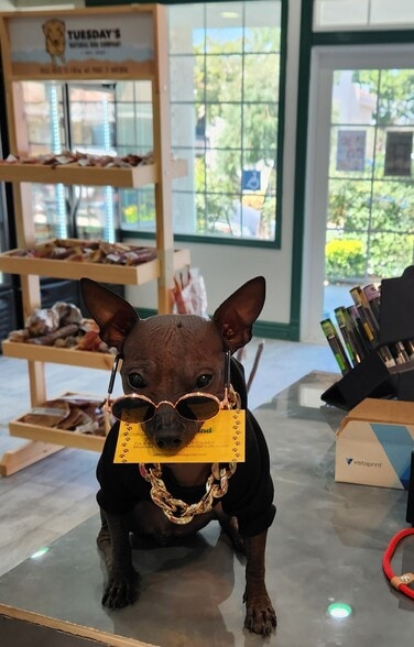 More Photos Of 218-220 S Myrtle Ave, Monrovia Storefront Retail Office For Lease