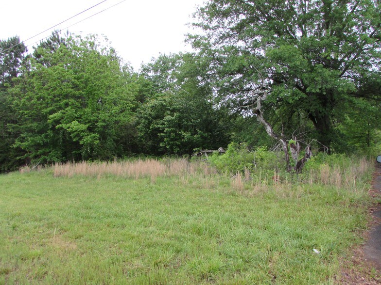 More Photos Of 3799 Cumming Hwy, Canton Land For Sale