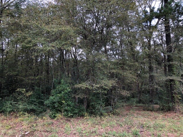 More Photos Of Wood Oak Cir, Cochran Land For Sale