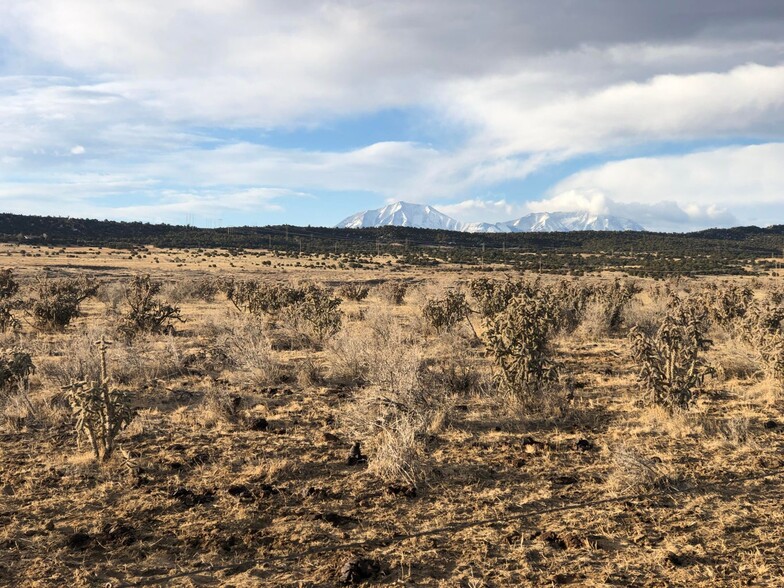 Primary Photo Of Lot 1 69, Walsenburg Land For Sale