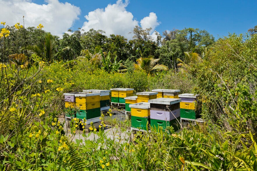 More Photos Of 13-2060 Lolia Pl, Pahoa Multifamily For Sale