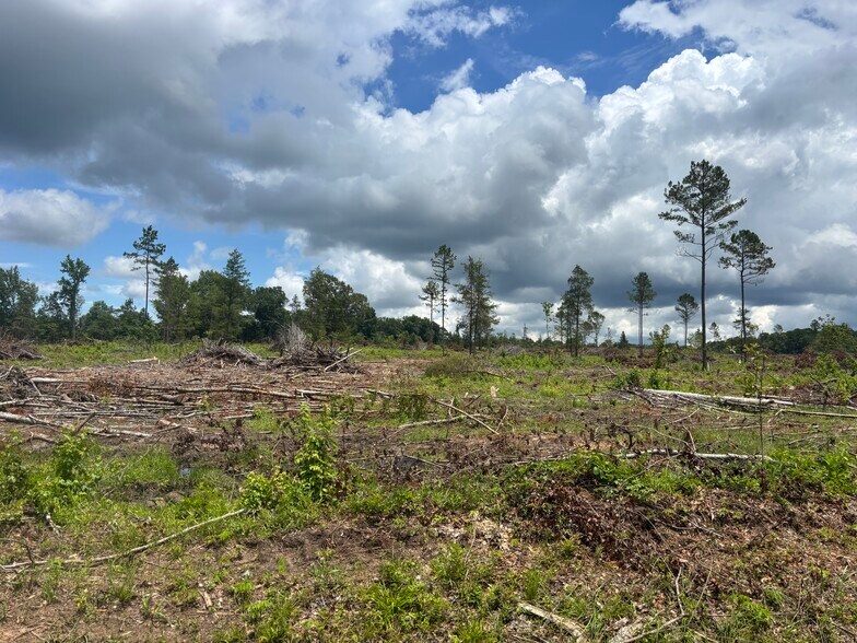 More Photos Of TBD CR 3665 Queen City Texas 20 Acres, Queen City Land For Sale