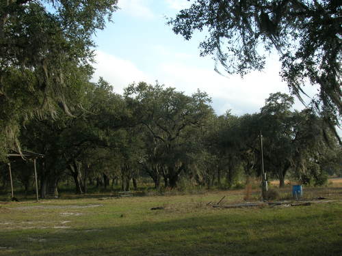 More Photos Of 4107 NE 255th Dr, Melrose Land For Sale