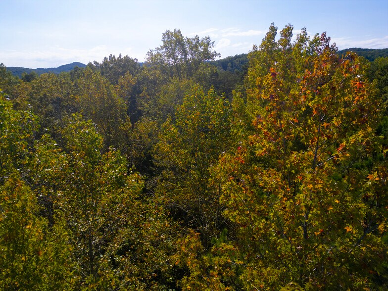 More Photos Of 000 Oconee Station Road, Walhalla Land For Sale