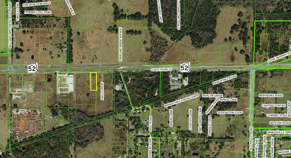 More Photos Of State Road 52, San Antonio Land For Sale