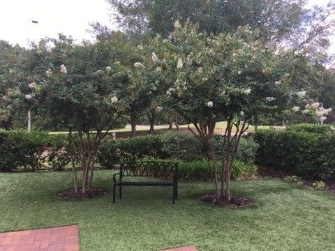 More Photos Of 2251 N Greenville Ave, Richardson Freestanding For Sale