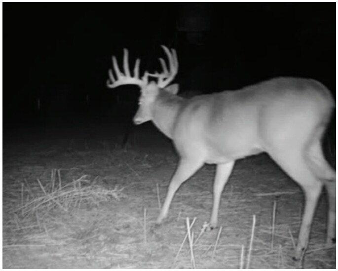 More Photos Of 1510 US Highway 83, Childress Land For Sale