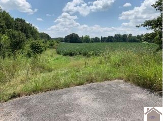 More Photos Of 8445 Old Highway 60 West, West Paducah Land For Sale