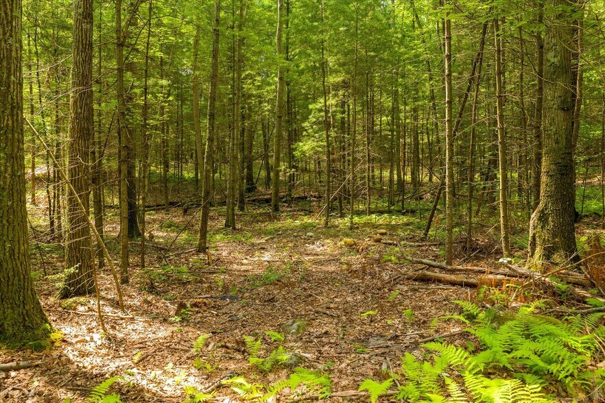 More Photos Of 219 Pomfret St, Putnam Land For Sale