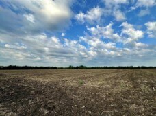 Primary Photo Of TBD County Road 320, Granger Land For Lease