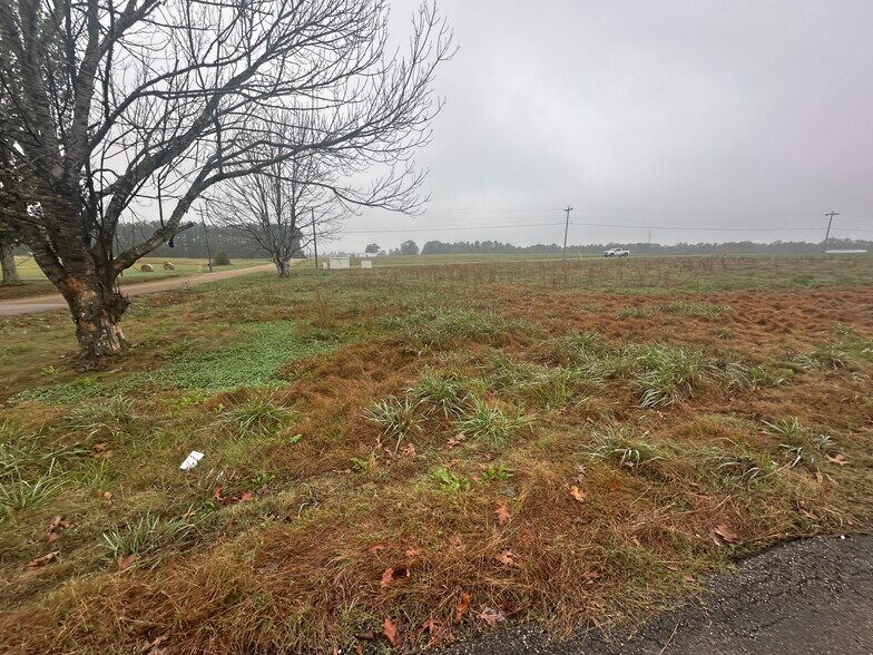 More Photos Of 645 Lucy Black Rd, Bolivar Office Residential For Sale