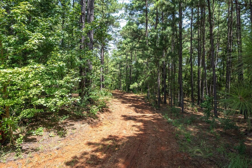 More Photos Of Tract 3 County Road 4102, Jacksonville Land For Sale
