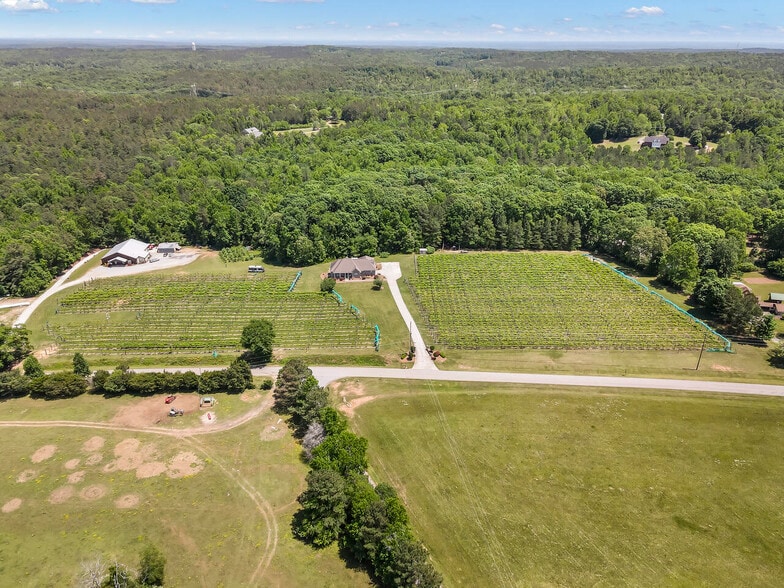 More Photos Of 665 N Hulett Rd, Villa Rica Winery Vineyard For Sale