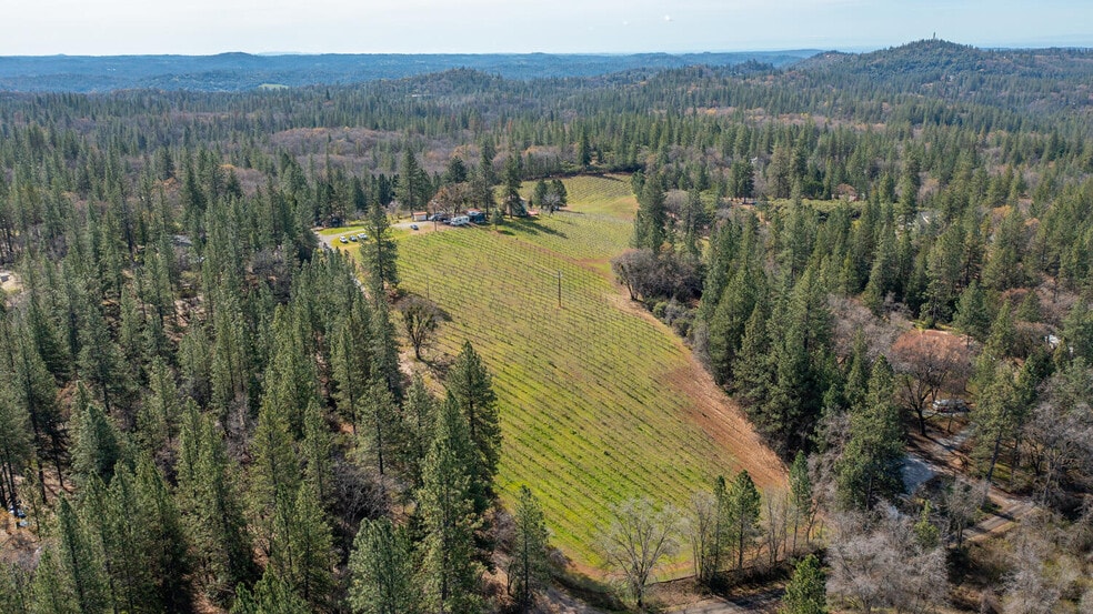 More Photos Of 4771 Greenhills Rd, Placerville Winery Vineyard For Sale