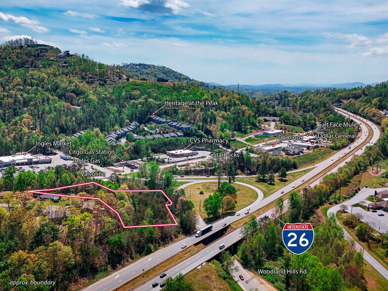 Primary Photo Of 99999 Blueberry Hill Rd, Asheville Land For Sale