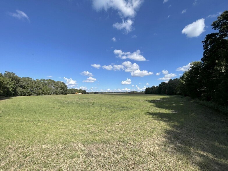 More Photos Of County 21 & Bell Grayson Road hwy, Demopolis Land For Sale