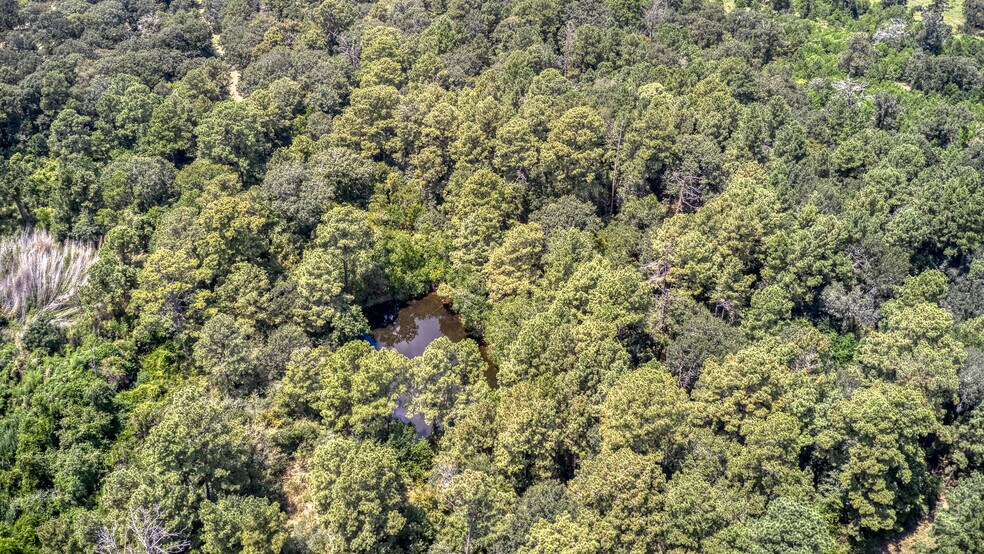 More Photos Of 2160 Bowler Rd, Waller Land For Sale