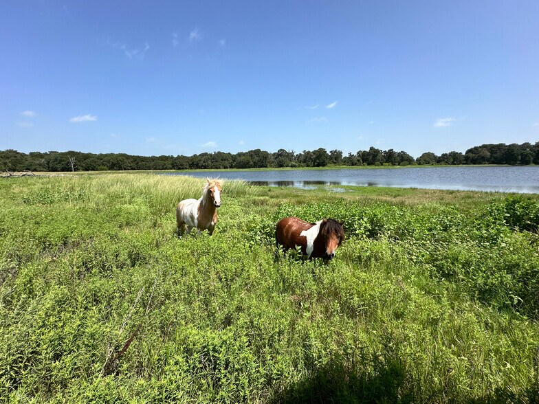 More Photos Of FM 933 Patton Lake rd, Aquilla Land For Sale
