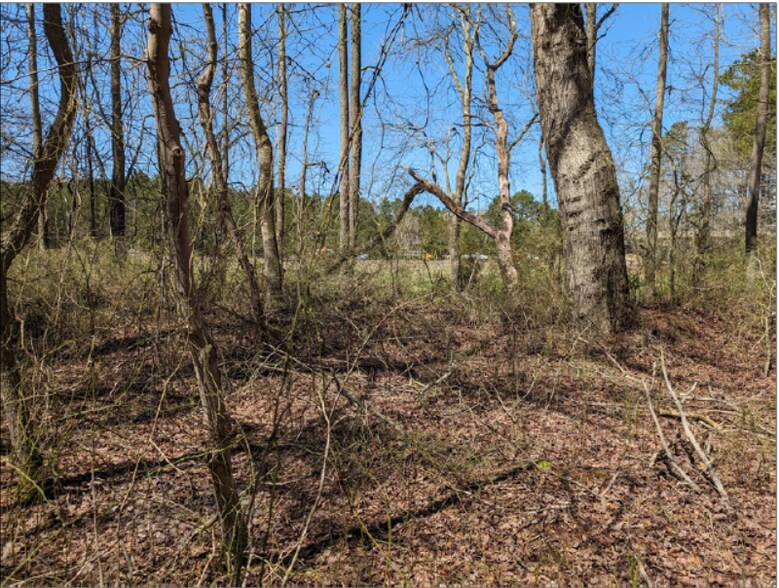 More Photos Of 0 Old Eden Rd, Eden Land For Sale